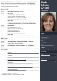 Ejemplos De Curriculum Vitae Hechos En Espa ol 2025 