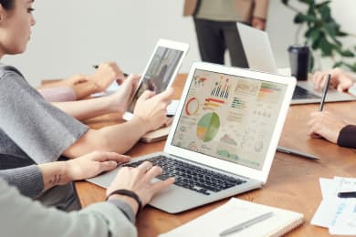 ¿Cuáles son los niveles de un idioma?