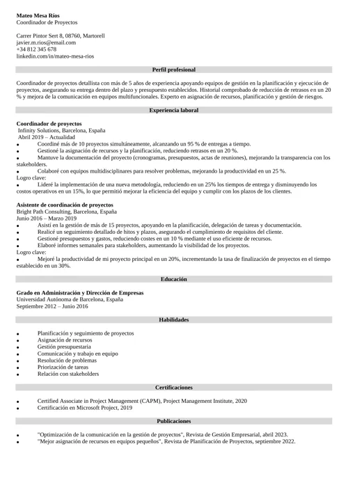 ejemplo de currículum de coordinador de proyectos