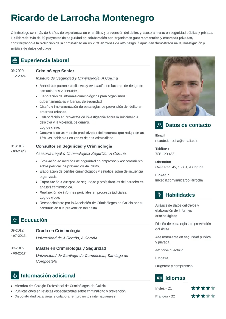 plantilla de currículum profesional vibes