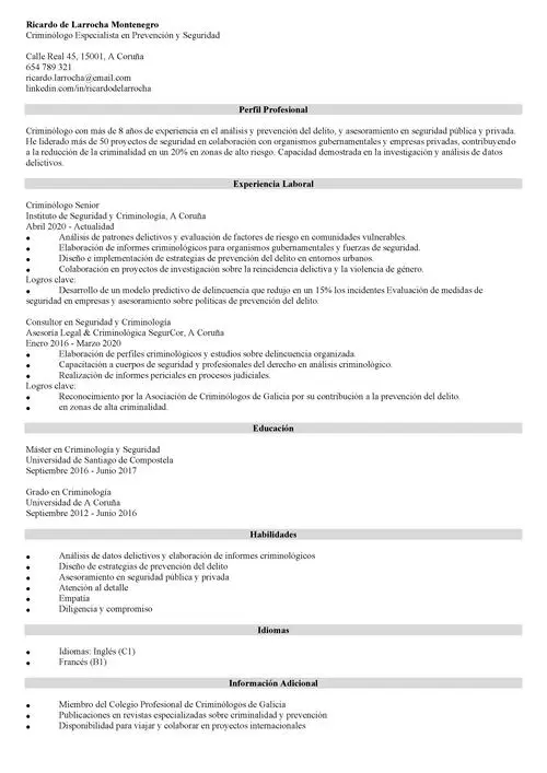 ejemplo de plantilla de currículum profesional