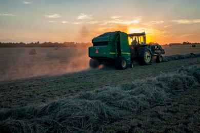 Curriculum vitae de agricultor: guía para CV con ejemplos