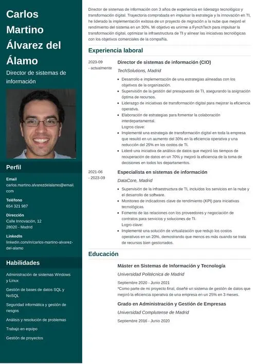 Ejemplo de currículum de director de sistemas de información