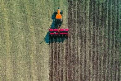 Currículum de Ingeniero Agrónomo: Guía, Ejemplos y Modelos