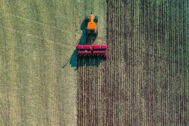 Currículum de Ingeniero Agrónomo: Guía, Ejemplos y Modelos